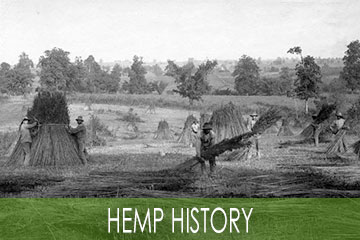 Hemp History